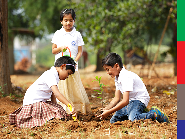 United Public School - Motto